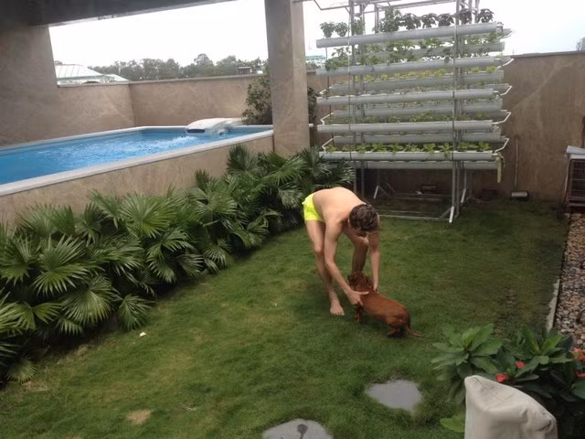 Không gian xanh là điểm thiết kế xuyên suốt trong sân vườn của ca sĩ. Sân thượng được biến tấu, khoác tấm áo mới nhờ thảm cỏ xanh, lối đi rải sỏi, hàng cọ lùn và giàn trồng rau sạch.