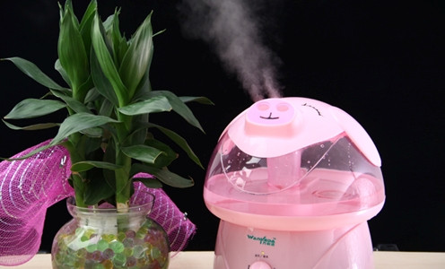 Máy phun ẩm, thiết bị được nhiều gia đình lựa chọn để cân bằng độ ẩm khi vào hè có thể được mua với giá "mềm" hơn vào hai ngày cuối tuần này. Trong đó, sản phẩm này giảm giá 10%, giá từ 450.000 - trên 2 triệu đồng.