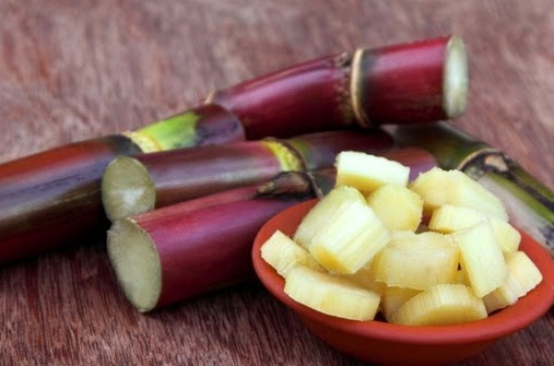 An mia hang ngay, nguoi dan ong suy tang, mat tri nho