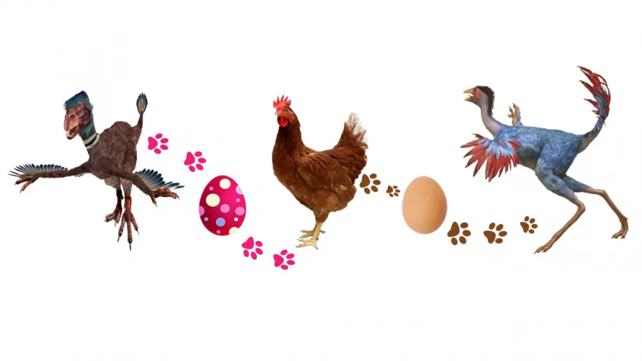 Con gà có trước hay quả trứng có trước: 90% câu trả lời sai - Hình 3 Con ga co truoc hay qua trung co truoc: 90% cau tra loi sai-Hinh-3