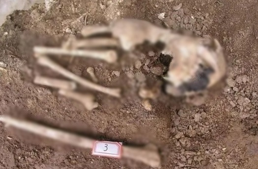 Kết quả kiểm tra niên đại cho thấy lăng mộ có niên đại khoảng 2.300 tuổi. Căn cứ vào tình trạng ngôi mộ và các hiện vật tìm thấy, giới nghiên cứu xác định chủ nhân ngôi mộ là thái hậu Hạ - bà nội của Tần Thủy Hoàng.