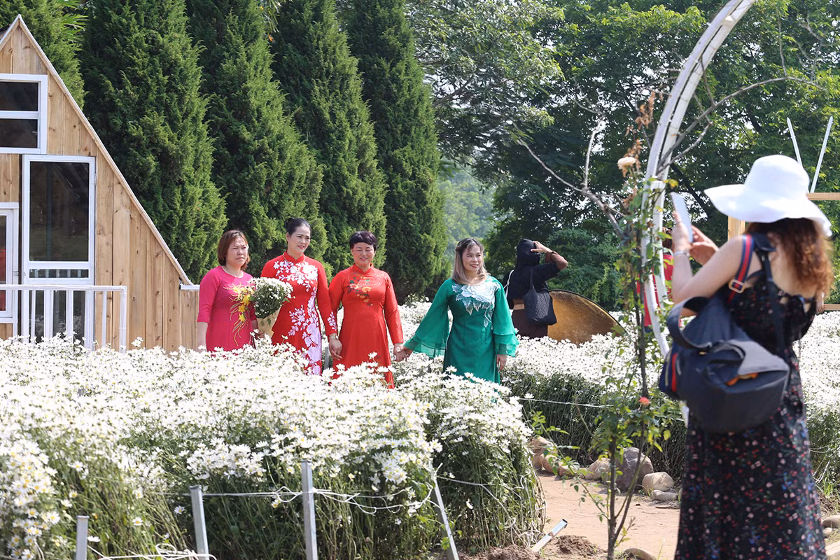 Cuc hoa mi dau mua dep nhu tien canh, chi em hao huc 'di san'