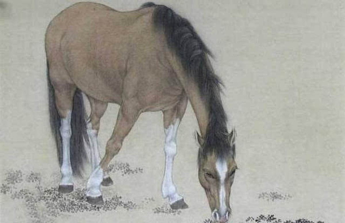 Vận thế ngày 11/11/2023 của người tuổi Ngọ hơi phức tạp. Tình cảm: Cặp đôi được gia đình hai bên vun vén để sớm về chung một nhà. Công việc: Bạn cùng lúc gặp cả chuyện vui lẫn buồn nên tâm trạng lên xuống. Tiền bạc: Người tuổi Ngọ chi tiêu tiết kiệm.