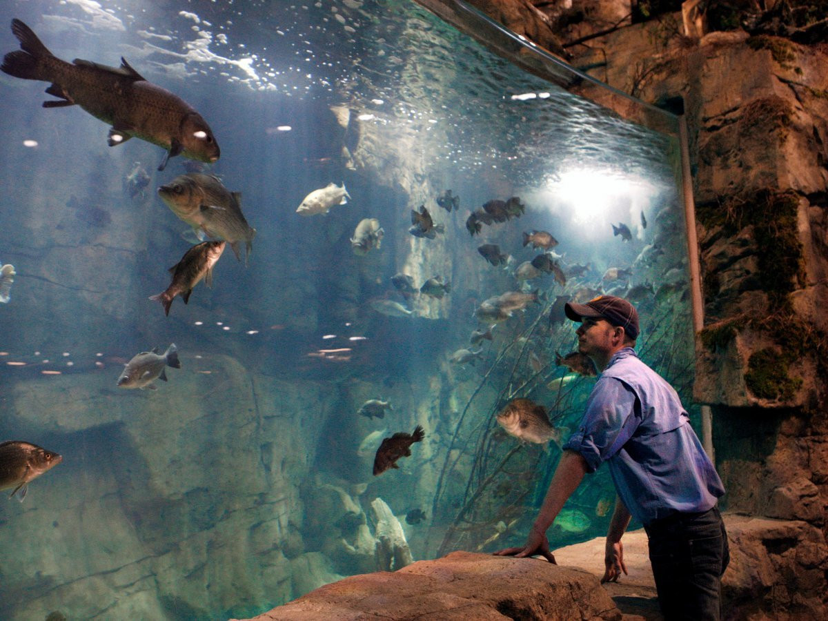 Đến năm 2015, "lời nguyền" ở Great American Pyramid chấm dứt sau khi Bass Pro Shop thuê lại và mở một trung tâm thương mại và giải trí.