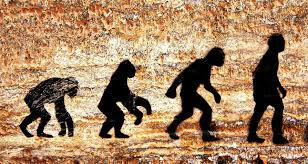 Trong máu của con người ngày nay còn tồn tại gene của những loài đã tuyệt chủng do tổ tiên của chúng ta giao phối với những loài khác như người Neanderthal.