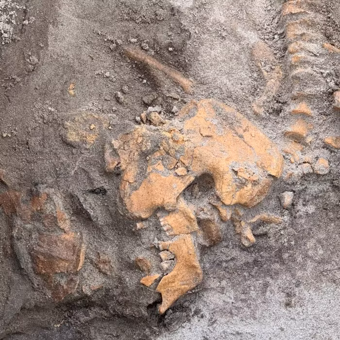 Đây là bằng chứng cho thấy những người nông dân đầu tiên đã định cư ở Selje từ gần 4.000 năm trước.