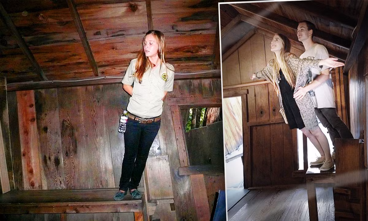 Mystery Spot ở Santa Cruz, California, Mỹ là một trong những địa điểm trên Trái Đất dường như “không trọng lực”. Khi tới đây, du khách không khỏi bất ngờ khi chứng kiến những cảnh tượng không thể tin nổi khi những quả bóng lăn ngược lên dốc, sợi chỉ treo gần như song song với sàn nhà.