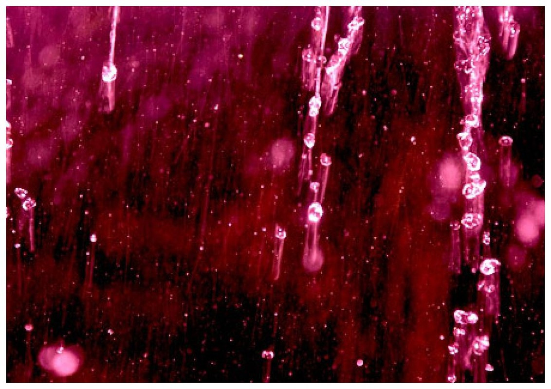 Ly kỳ hơn, một giả thuyết cho rằng, hiện tượng mưa máu bí ẩn liên quan đến sự sống ngoài hành tinh. Giả thuyết này được đưa ra sau khi Tiến sĩ người Ấn Độ Godfrey Louis kiêm nhà vật lý học tại Đại học Mahatma Gandhi đã phát hiện sự hiện diện của các tế bào sinh học bé nhỏ trong nước mưa tại trận mưa máu từng trút xuống đất nước này.