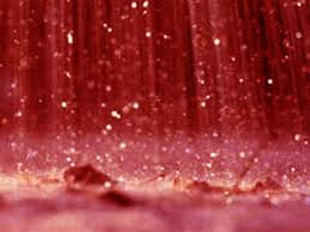 Nhiều giai thoại, truyền thuyết ở châu Âu tin rằng, những cơn mưa máu là điềm báo tai ương, thảm họa chết chóc.