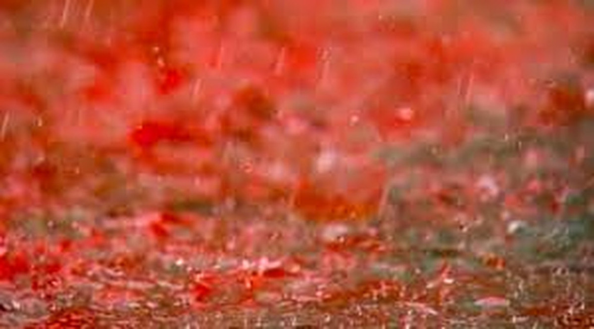 Vào năm 2008, người dân tại La Sierra, Choco, Columbia bất ngờ chứng kiến một cơn mưa kỳ lạ có màu đỏ như máu kéo dài gần 30 phút. Những cơn mưa máu xuất hiện tại một số nước trên thế giới khiến công chúng tò mò không biết điều gì đã xảy ra.