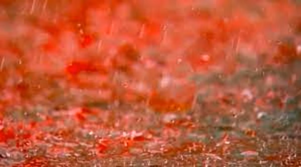 Vào năm 2008, người dân tại La Sierra, Choco, Columbia bất ngờ chứng kiến một cơn mưa kỳ lạ có màu đỏ như máu kéo dài gần 30 phút. Những cơn mưa máu xuất hiện tại một số nước trên thế giới khiến công chúng tò mò không biết điều gì đã xảy ra.