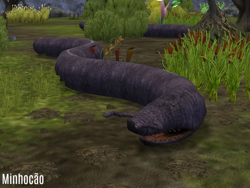 Minhocão được cho là đã sinh sống trên Trái Đất từ thời kỳ khủng long. Chúng ẩn náu sâu dưới lòng đất và thỉnh thoảng trồi lên mặt đất hít thở.