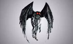 Người cú được các nhân chứng mô tả có bộ lông màu xám đen bao phủ toàn bộ cơ thể, cao khoảng 2m với các móng vuốt dài và có hình dáng giống một người đàn ông đang đứng. Đặc biệt, sinh vật này có đôi mắt đỏ ngầu giống như ác quỷ đến từ địa ngục.