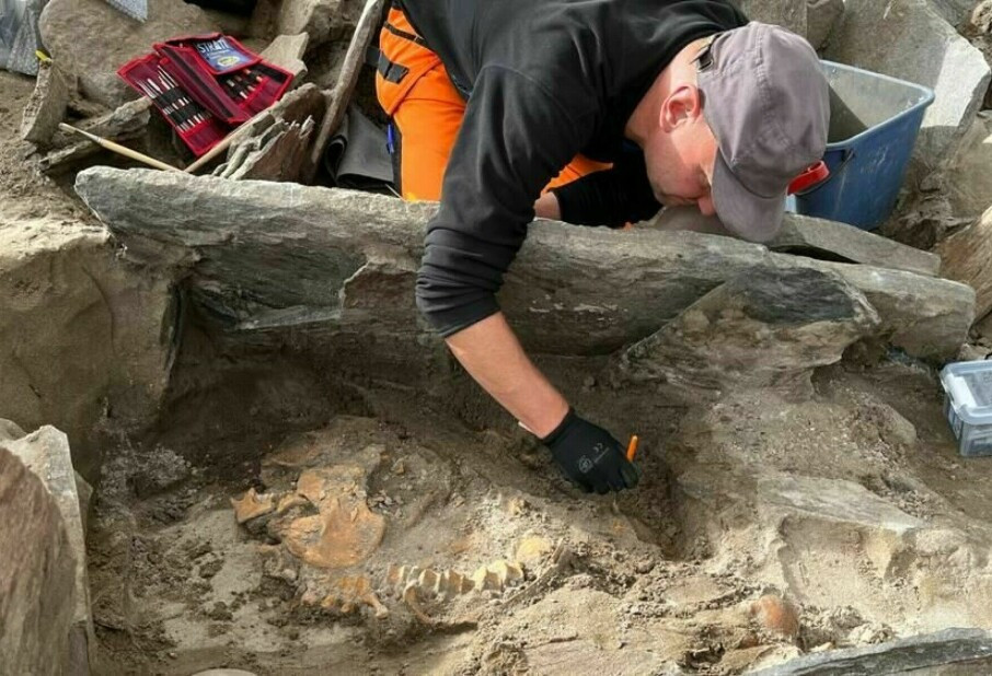 Bên cạnh ngôi mộ này, các chuyên gia tìm thấy các dấu vết của những ngôi nhà thời tiền sử, xương động vật, một công cụ bằng đá có hình lưỡi liềm và những vỏ sò nhỏ.