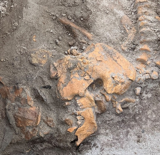 Mộ cổ có kích nước 3m x 1,5m, cao gần 1m. Bên trong ngôi mộ có 2 phòng. Họ tìm thấy hài cốt của một ông lão bị viêm khớp, một phụ nữ trẻ và 2 trẻ em.