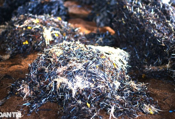 Tận dụng thứ bỏ đi ở lò mổ, 9X chế thành “tiền tươi, thóc thật" Tan dung thu bo di o lo mo, 9X che thanh “tien tuoi, thoc that