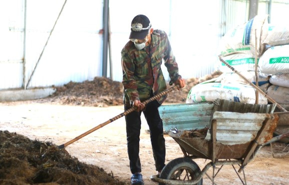 Tận dụng thứ bỏ đi ở lò mổ, 9X chế thành “tiền tươi, thóc thật" - Hình 2 Tan dung thu bo di o lo mo, 9X che thanh “tien tuoi, thoc that