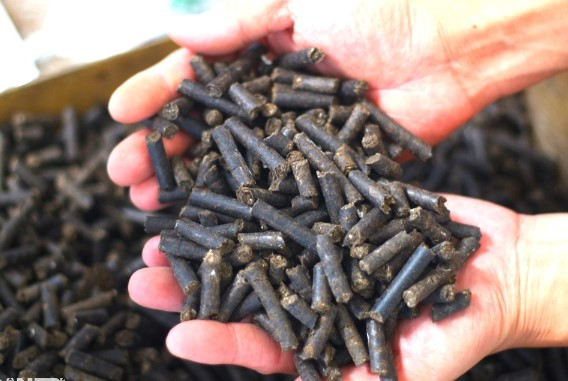 Tận dụng thứ bỏ đi ở lò mổ, 9X chế thành “tiền tươi, thóc thật" - Hình 3 Tan dung thu bo di o lo mo, 9X che thanh “tien tuoi, thoc that