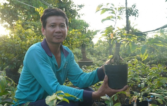 Trong loai hoa quen thuoc, nong dan ban 1 cay du tien an choi ca nam-Hinh-4