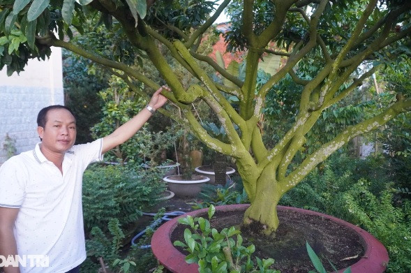 Trong loai hoa quen thuoc, nong dan ban 1 cay du tien an choi ca nam-Hinh-2