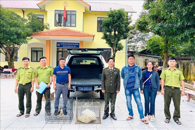 Dân Quảng Bình giao nộp cá thể chim ưng, trăn đất: Loài “quý như vàng"! Dan Quang Binh giao nop ca the chim ung, tran dat: Loai “quy nhu vang