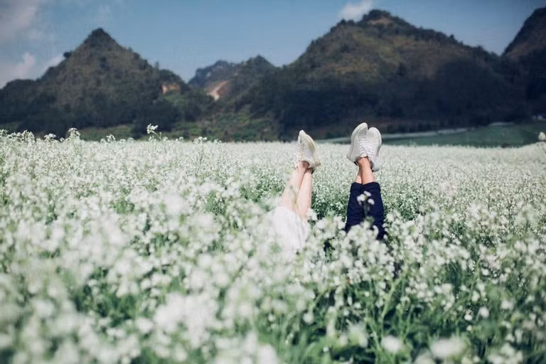 Du lich Moc Chau thang 12 - mua hoa dep nhat-Hinh-2