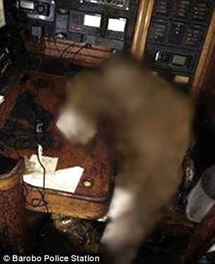 Sau khi thông tin vụ việc này được công bố rộng rãi, nhiều người tò mò vì sao ông Manfred lại đi biển một mình và qua đời một cách buồn bã như vậy.