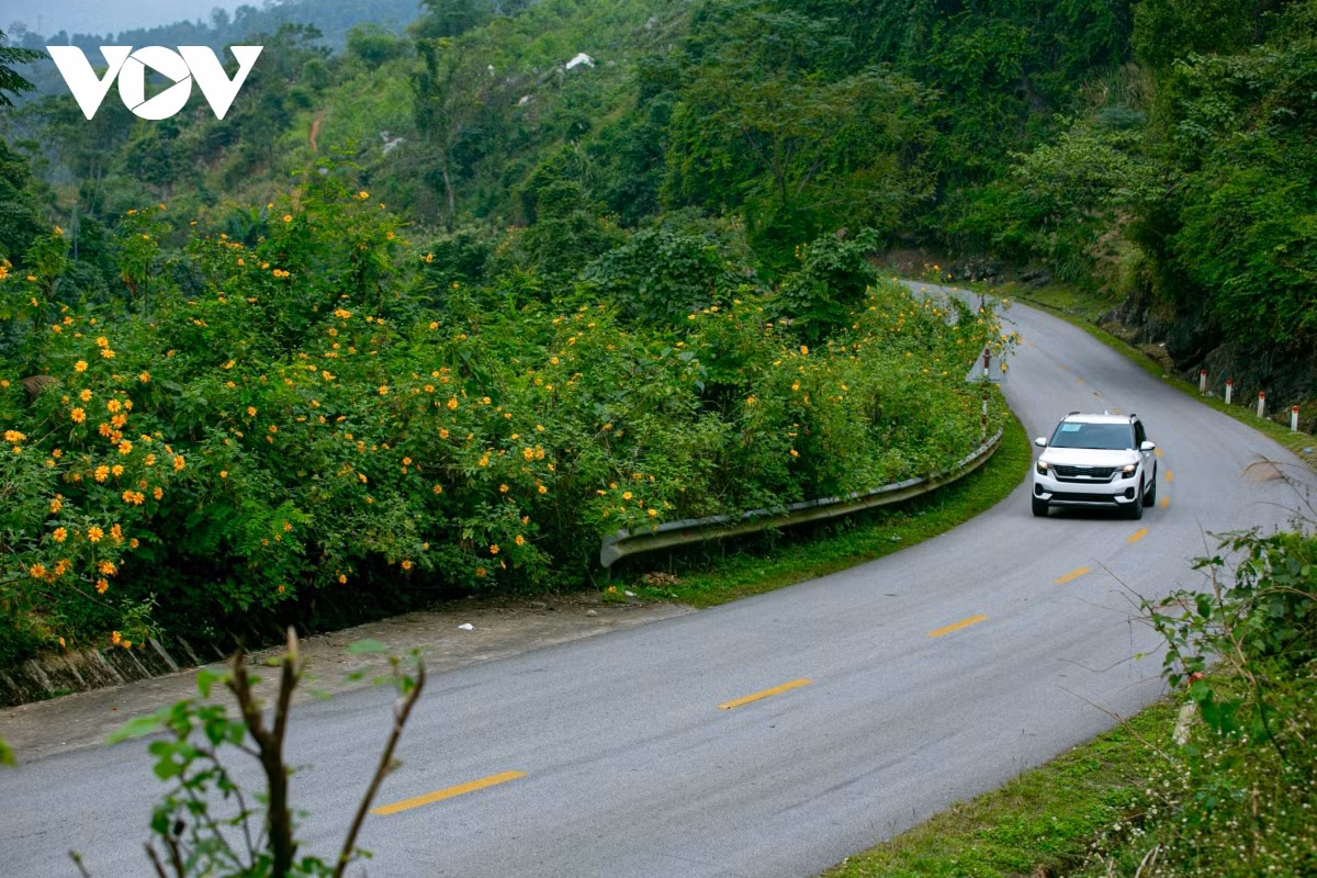  Đèo Lùng Pa thuộc huyện Văn Quan, cách trung tâm TP. Lạng Sơn khoảng 28 km theo hướng Quốc lộ 1B.