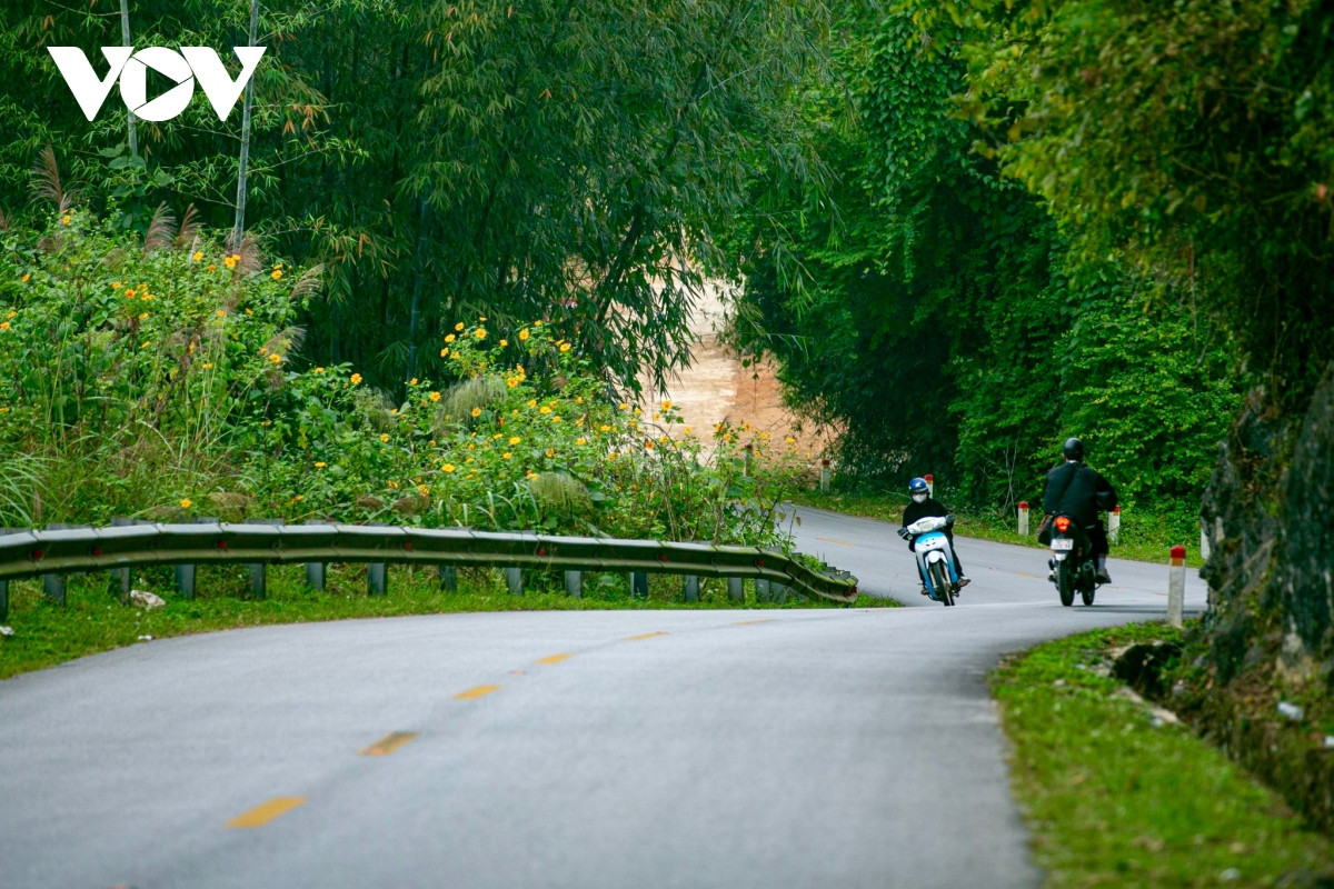 Cung đường đèo Lùng Pa quanh co những vách núi, nay lại nằm xen kẽ giữa hàng hoa tạo nên khung cảnh nên thơ.
