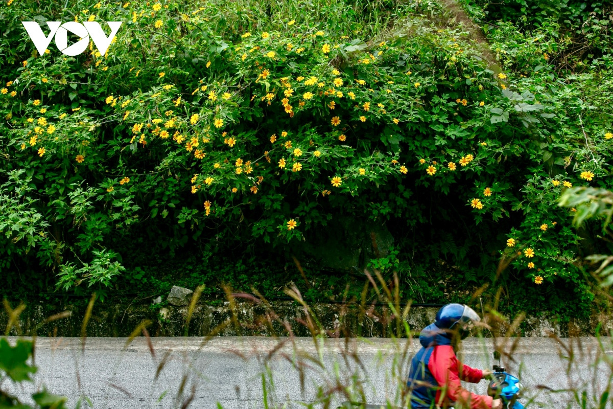 Người dân 2 xã Điểm He và An Sơn thích thú khi hàng ngày đi qua cung đèo Lùng Pa, được chiêm ngưỡng thành quả của chính mình.