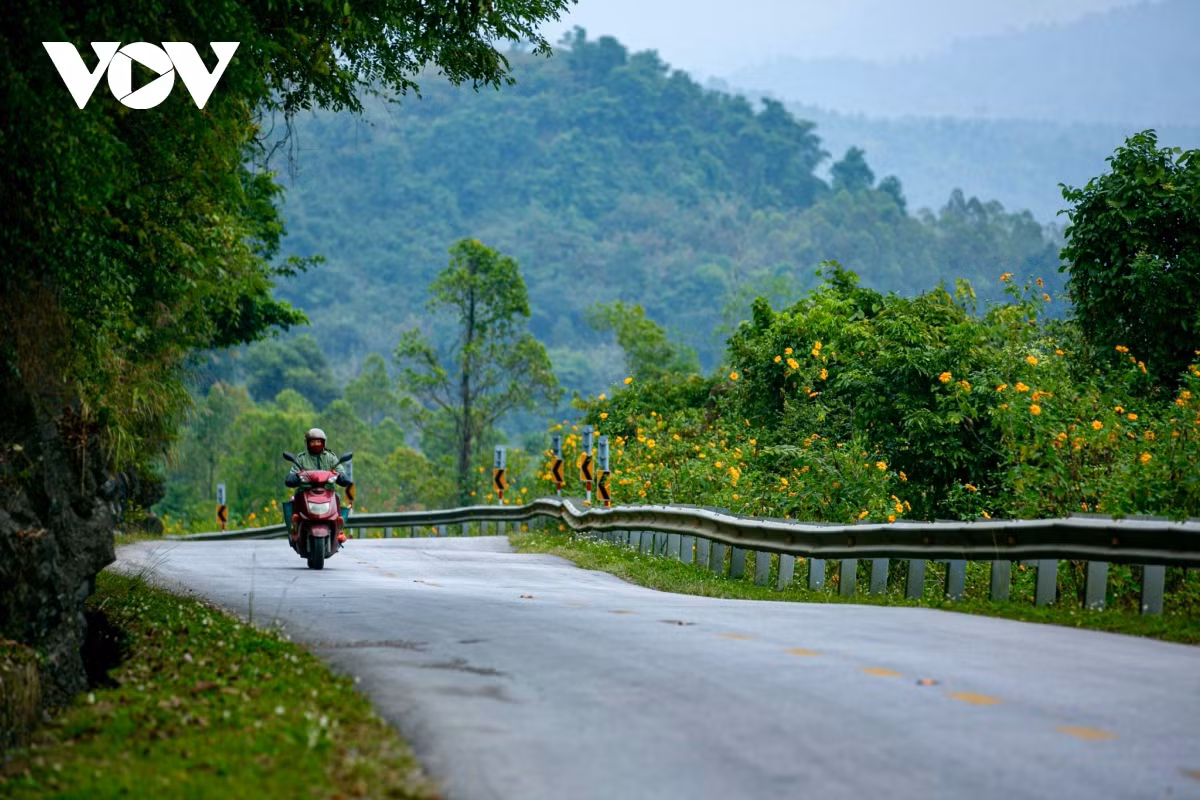 Hàng hoa dã quỳ vàng rực, ôm trọn lấy những cung đường quanh co tạo nên vẻ đẹp thơ mộng nơi vùng cao xứ Lạng.