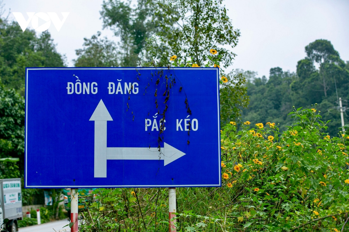 Ông Nông Văn Tùng - Trưởng phòng Nông nghiệp và Phát triển nông thôn huyện Văn Quan tự hào kể lại: “Toàn bộ cây giống được người dân 2 xã Điểm He và An Sơn tự chuẩn bị. Dã quỳ là loại cây dễ sinh trưởng, chỉ cần cắm cành cây cũng có thể sống được. Có được con đường dài gần 2km phủ đầy sắc hoa như ngày hôm nay, huyện Văn Quan hầu như không mất một khoản chi phí nào”.