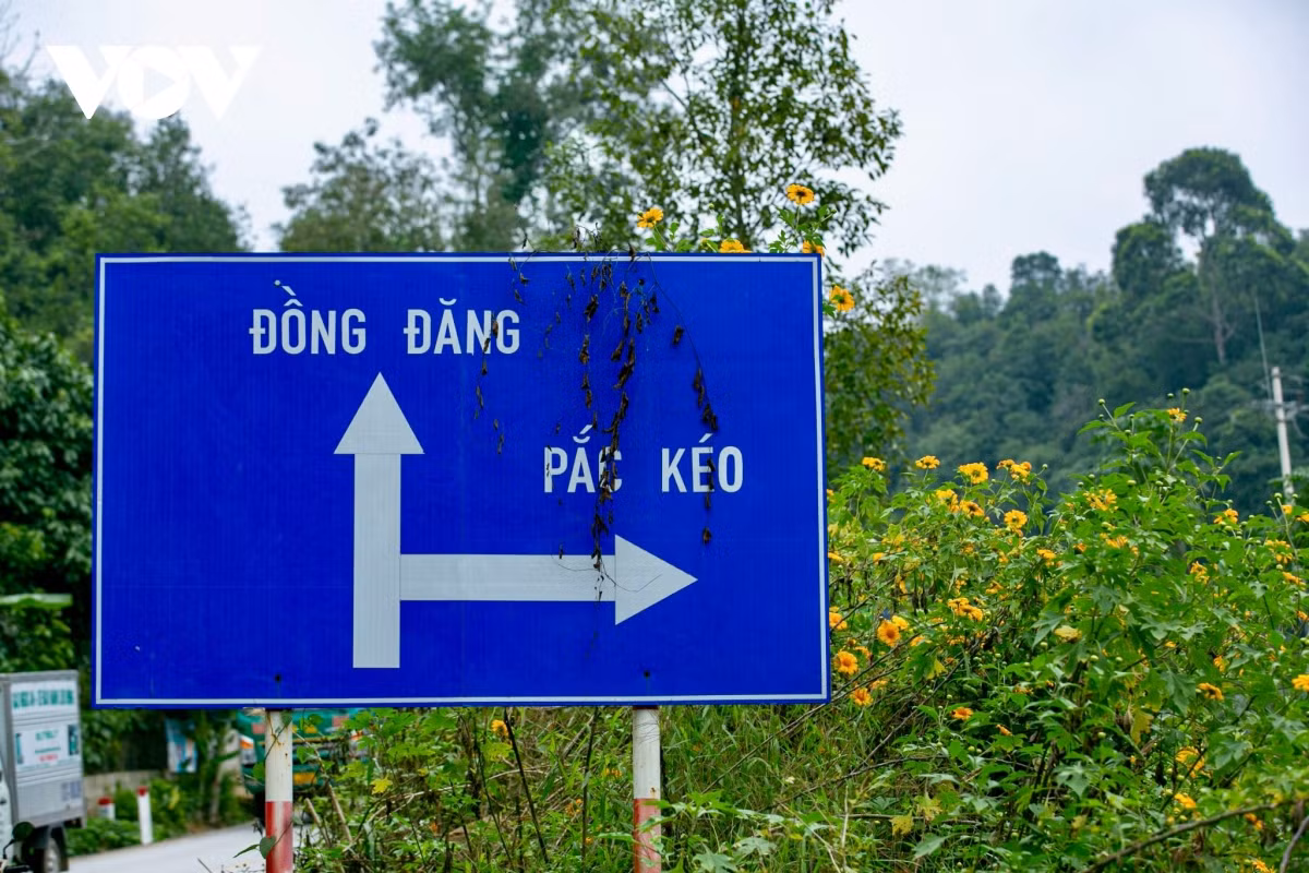 Ông Nông Văn Tùng - Trưởng phòng Nông nghiệp và Phát triển nông thôn huyện Văn Quan tự hào kể lại: “Toàn bộ cây giống được người dân 2 xã Điểm He và An Sơn tự chuẩn bị. Dã quỳ là loại cây dễ sinh trưởng, chỉ cần cắm cành cây cũng có thể sống được. Có được con đường dài gần 2km phủ đầy sắc hoa như ngày hôm nay, huyện Văn Quan hầu như không mất một khoản chi phí nào”.