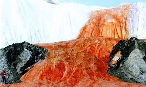 Trong suốt nhiều năm, giới chuyên gia thực hiện nhiều nghiên cứu nhằm giải mã vì sao dòng thác này lại có nước màu đỏ như máu. Vào năm 2017, nhóm chuyên gia của Đại học Alaska Fairbanks (UAF) và Cao đẳng Colorado công bố kết quả nghiên cứu trên Tạp chí chuyên nghiên cứu về sông băng hé lộ bí mật về "Thác Máu" bí ẩn ở Nam Cực.