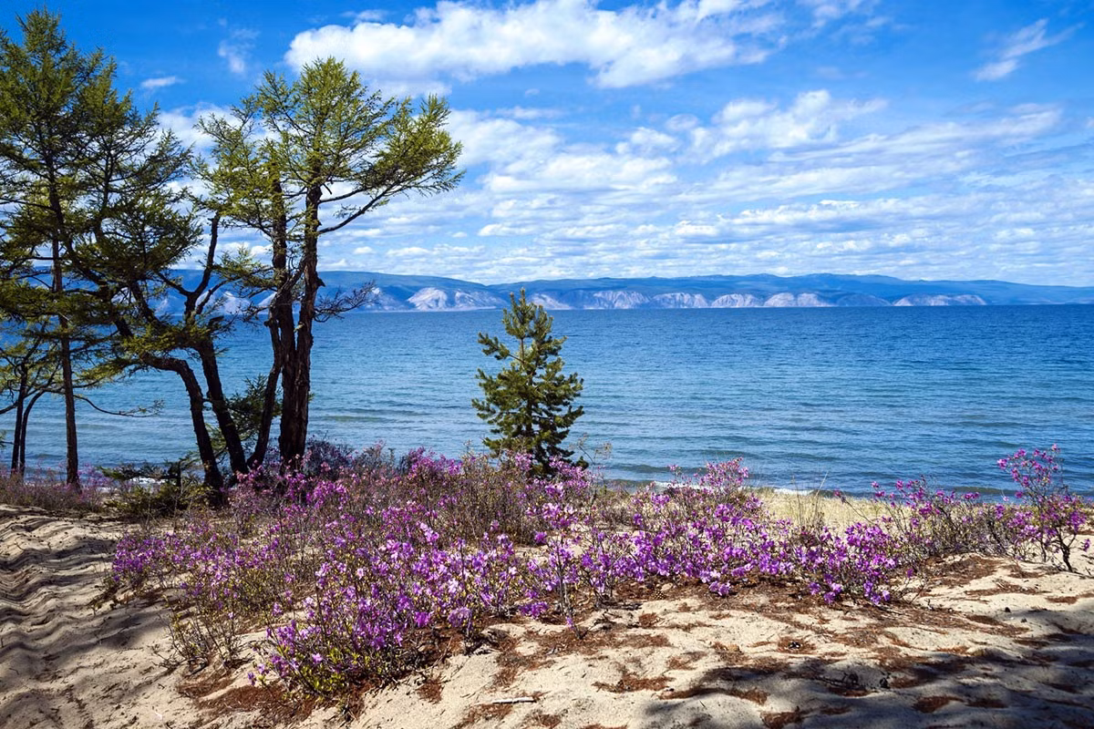 Nếu thông tin này là chính xác thì cũng rất khó tìm được số vàng đó bởi hồ Baikal vô cùng rộng lớn và sâu. Nếu không biết vị trí chính xác và có các công cụ, thiết bị hỗ trợ cũng như nguồn nhân lực lớn thì sẽ khó có thể trục vớt được kho báu này.