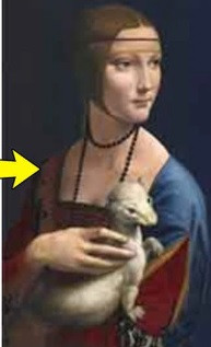 Tuy nhiên, sau khi hoàn thành tác phẩm, họa sĩ da Vinci lại quyết định vẽ chồng lên bức tranh đầu tiên một con vật khác nhưng không phải là chồn. Bức tranh mà chúng ta đang chiêm ngưỡng chính là lần chỉnh sửa thứ ba của họa sĩ da Vinci.