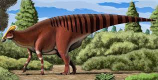 Các chuyên gia INAH cho hay Tlatolophus galorum là một loài khủng long "ôn hòa và rất siêng giao tiếp". Chúng sử dụng âm thanh tần số thấp để "nói chuyện" với đồng loại giống như voi ngày nay.