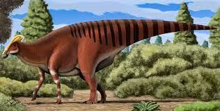 Các chuyên gia INAH cho hay Tlatolophus galorum là một loài khủng long "ôn hòa và rất siêng giao tiếp". Chúng sử dụng âm thanh tần số thấp để "nói chuyện" với đồng loại giống như voi ngày nay.