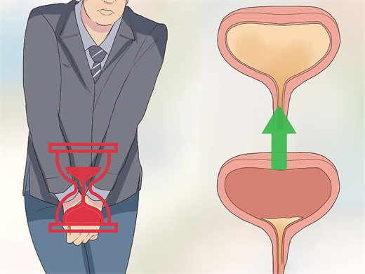 Nước tiểu chứa nhiều vi khuẩn, vi rút có hại. Bàng quang kết nối với hệ thống tiết niệu, bao gồm thận qua một ống dẫn. Nhịn tiểu lâu khiến những vi khuẩn này gây nhiễm trùng đường tiết niệu.