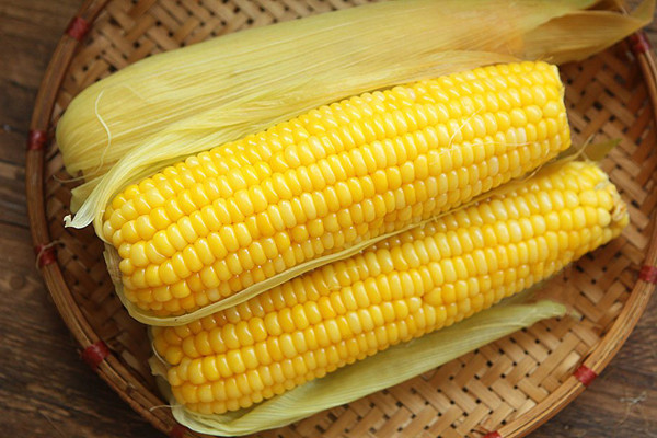 Ăn ngô hợp lý tốt cho sức khỏe từ lâu được công nhận. Vậy nhưng, ngô ngon ngọt nhất khi ăn ngay sau khi thu hoạch. Nếu không, ngô sẽ già đi nhanh chóng, vị ngọt và tươi giảm mạnh khiến món ăn không còn hấp dẫn.