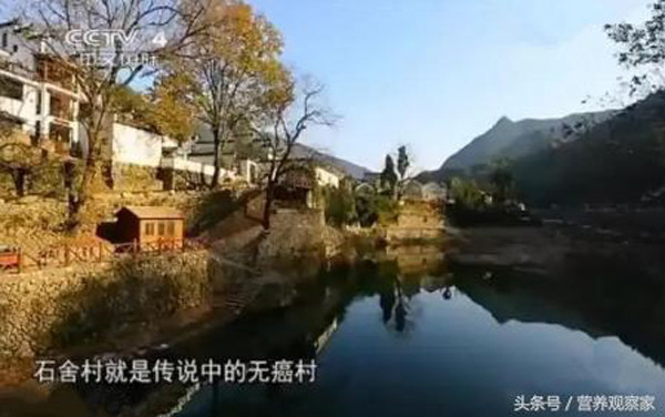 Ky la lang khong ung thu o Trung Quoc, “phep mau” tu cay nay