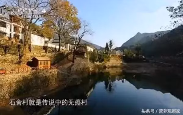 Ky la lang khong ung thu o Trung Quoc, “phep mau” tu cay nay