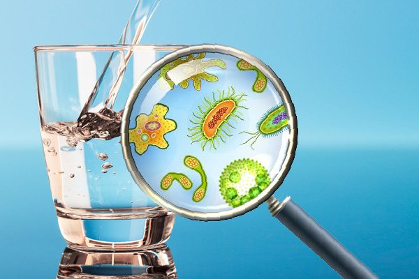 2. Tiện lợi không tỷ lệ thuận với ích lợi. Nước đóng chai rất tiện khi di chuyển. Nó cũng có hương vị, bao bì hấp dẫn. Tuy vậy, sự tiện lợi không tỷ lệ thuận với ích lợi của nước đóng chai mang lại. Kết quả nghiên cứu chỉ ra, nước đóng chai có lượng vi khuẩn thậm chí cao hơn so với nước máy.