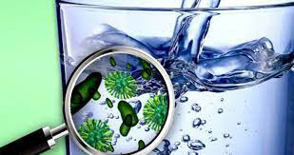 Những năm gần đây, nước đóng chai được xem là một trong những yếu tố làm tăng nguy cơ nhiễm Campylobacter - một bệnh phổ biến do thực phẩm.