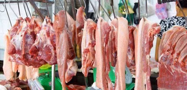 1. Đánh giá chất lượng thịt. Lợn nuôi kiểu truyền thống, đặc biệt là giống lợn thuần chủng khối thịt rắn chắc, độ đàn hồi cao. Khối thịt có lớp mỡ và lớp nạc dính chặt với nhau, lớp da dày. Do lợn thường được ăn ngũ cốc, cám gạo nên thời gian phát triển khá lâu, thậm chí 1-3 năm mới giết mổ. Thịt lợn nuôi theo cách này, chiên, luộc hay nướng đều có mùi thơm đặc trưng, rất hấp dẫn.