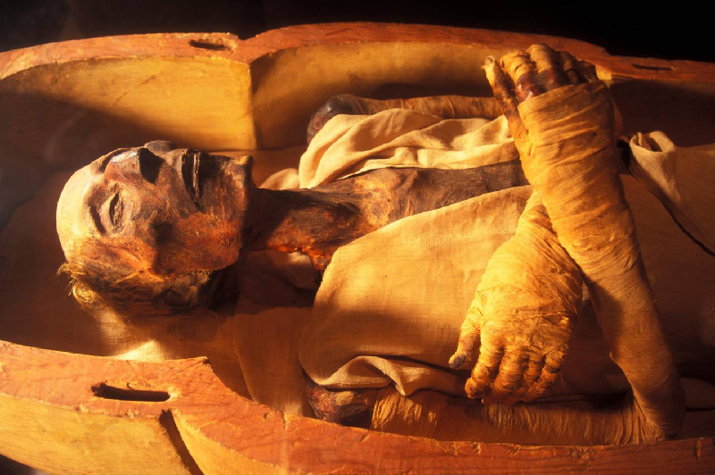 Xác ướp Ramesses II. Ramesses II, còn được gọi là Ramesses Đại đế, là một trong những pharaoh Ai Cập nổi tiếng nhất mọi thời đại. Ramesses II trị vì gần 60 năm và qua đời khi ông khoảng 90 tuổi. Nhiều nguồn tin cho rằng ông có tới hơn 100 người con.