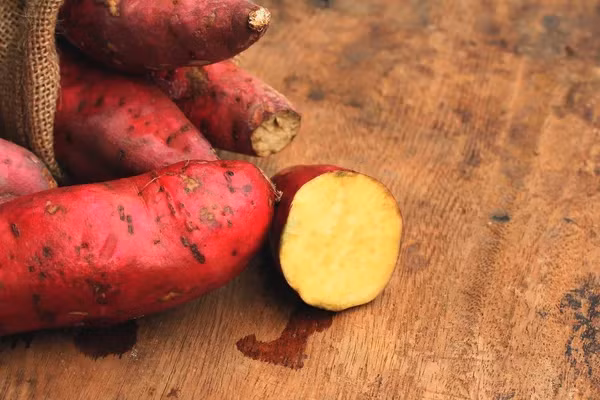 Họ tin rằng chất hydroepiandrosterone trong khoai lang góp phần ức chế sự phát triển của tế bào ung thư, đặc biệt là ung thư ruột kết và ung thư vú.