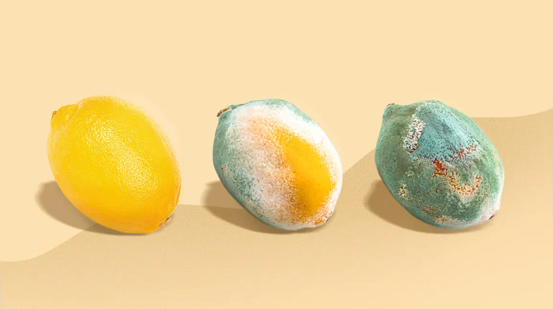 Hầu hết các hộ gia đình có xu hướng mua chanh với số lượng lớn bởi chanh để được lâu. Tuy nhiên, cuối cùng chúng cũng sẽ bị nhăn và teo đi. (Ảnh: Healthline)