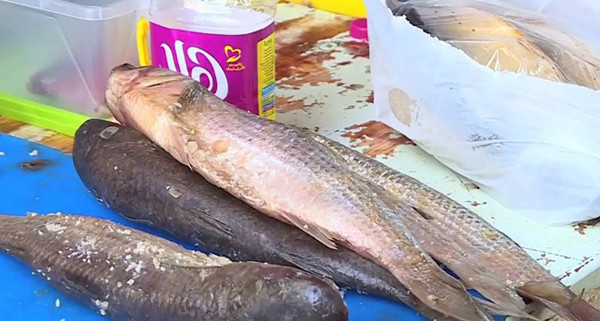 Cá đối Mugil được làm sạch, loại bỏ nội tạng rồi phơi khô dưới ánh nắng mặt trời. Tiếp đó, cá sẽ được muối, ủ trong vòng 45 ngày. Muối sẽ làm chín cá, ngăn ngừa tình trạng thối rữa.