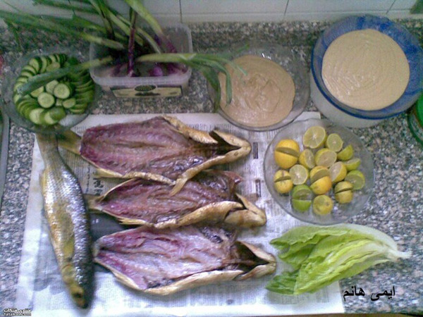 Cá đối ủ muối không cần chế biến qua nhiệt, được ăn trực tiếp với các gia vị như hành xắt nhỏ, chanh, rau diếp, sốt bơ vừng và bánh mì Ai Cập.